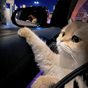 二次元全祼❌㊙️动漫
